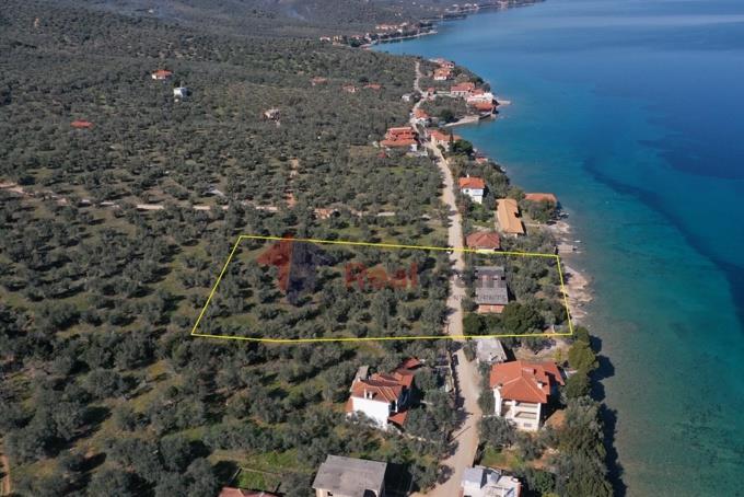 Image No.26-Property for sale