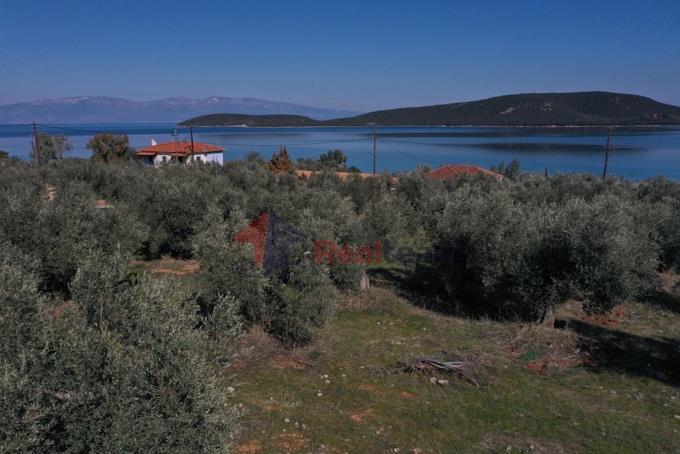 Image No.40-Property for sale