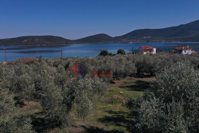 Image No.49-Property for sale