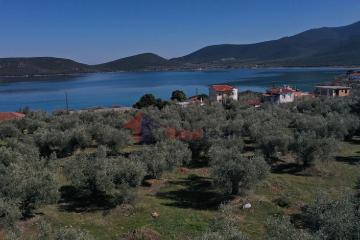 Image No.22-Property for sale