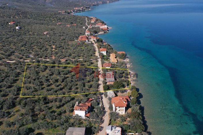 Image No.4-Property for sale