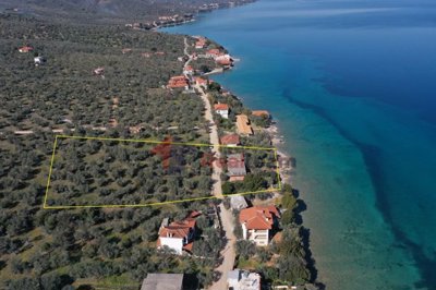 82d4f67d0684491680b3d1a3b65d019c