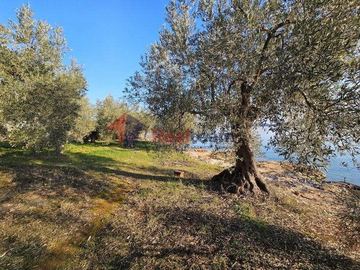 Image No.8-Property for sale