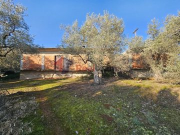 282ba617f26b4a0fa915be0968619616