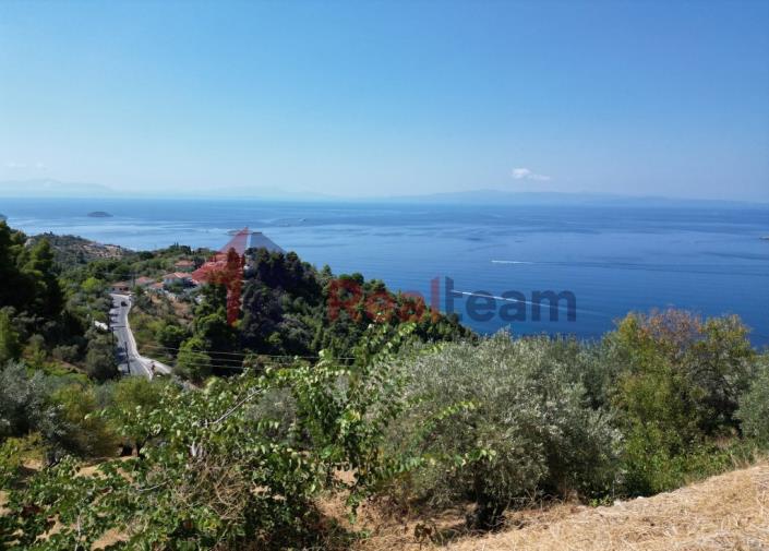 Image No.34-Property for sale