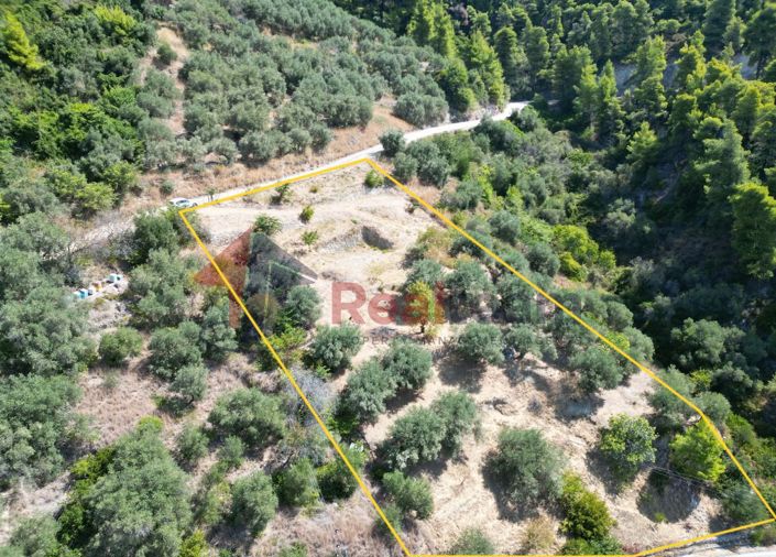 Image No.6-Property for sale