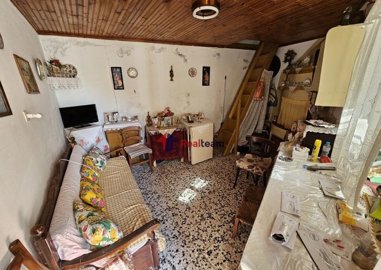 imge6b68227-6132-4178-9f35-08741087e073