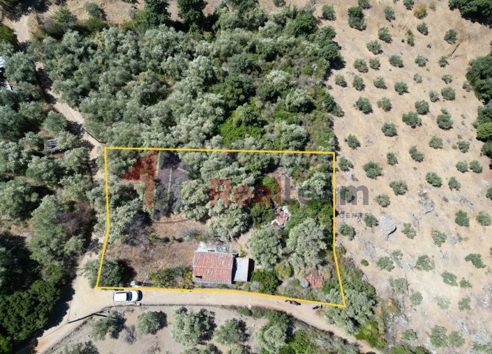 Image No.10-1 Bed Property for sale