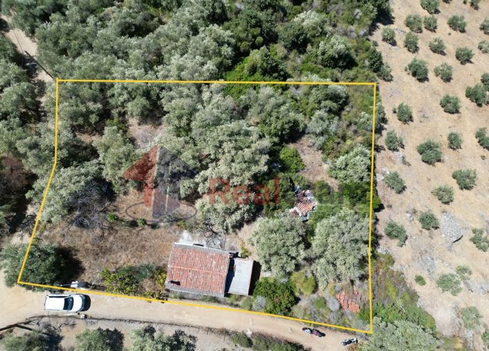 Image No.11-1 Bed Property for sale