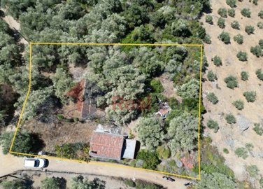 9159c8385e664d63a1938b0ec5b7042e