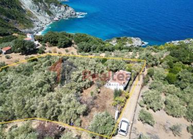 RealTeam most sold property
