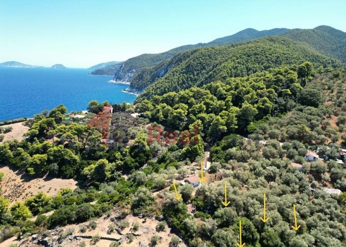 Image No.47-1 Bed Property for sale