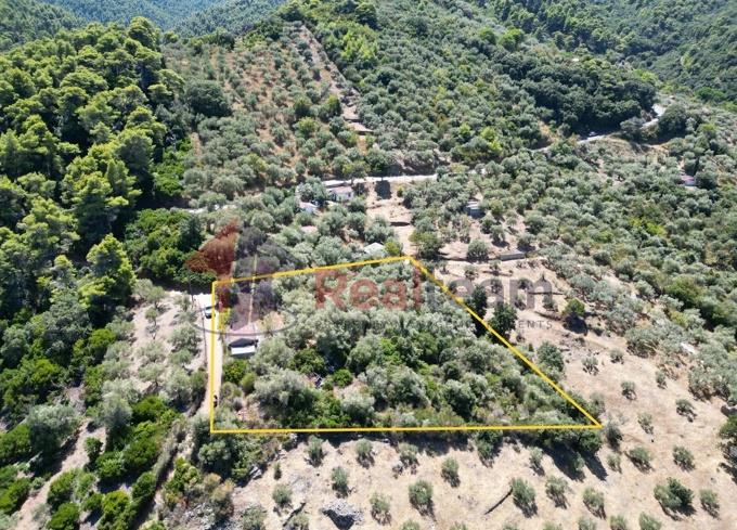 Image No.53-1 Bed Property for sale