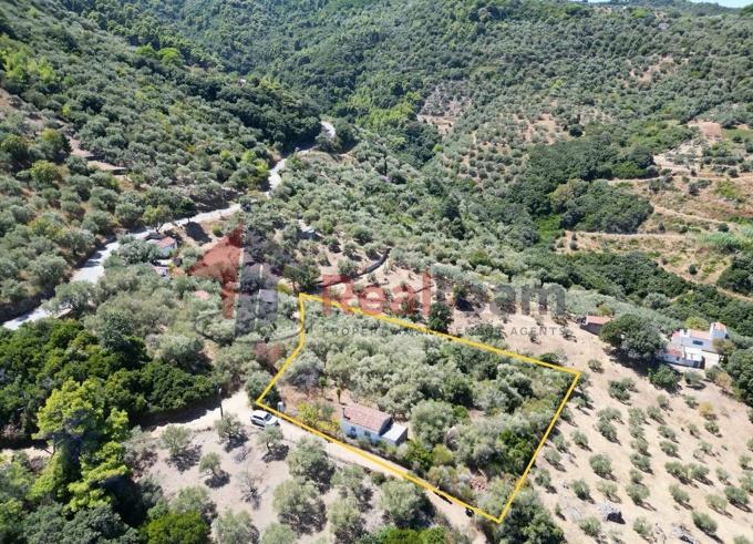 Image No.34-1 Bed Property for sale