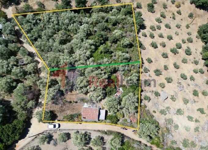 Image No.42-1 Bed Property for sale