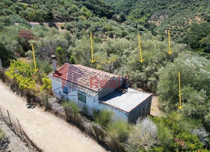 Image No.54-1 Bed Property for sale