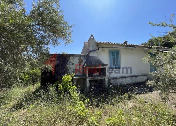 Image No.39-1 Bed Property for sale