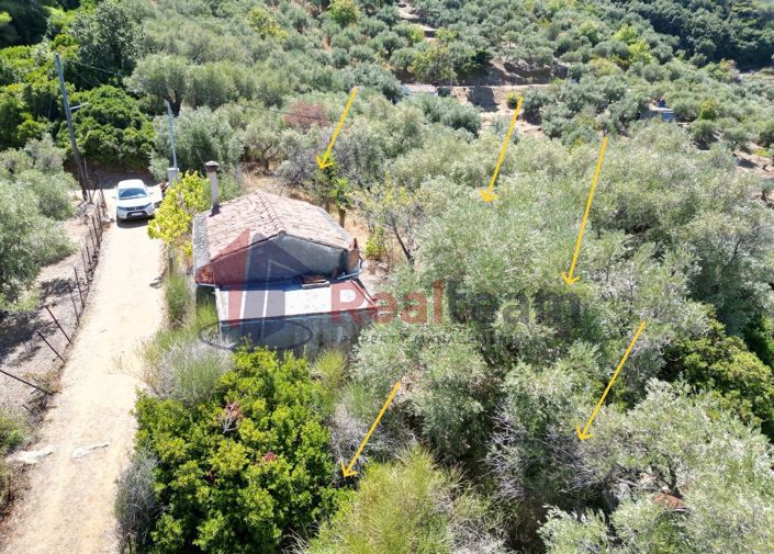 Image No.13-1 Bed Property for sale