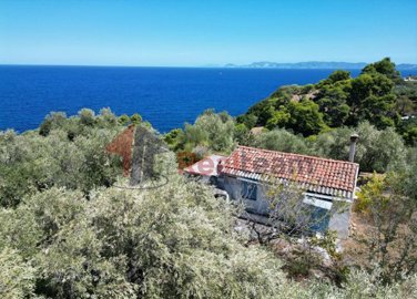 0380f7b1e6514f8583944c48e6a9b4d2