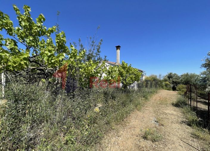 Image No.21-1 Bed Property for sale