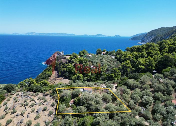 Image No.4-1 Bed Property for sale