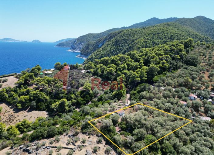 Image No.6-1 Bed Property for sale