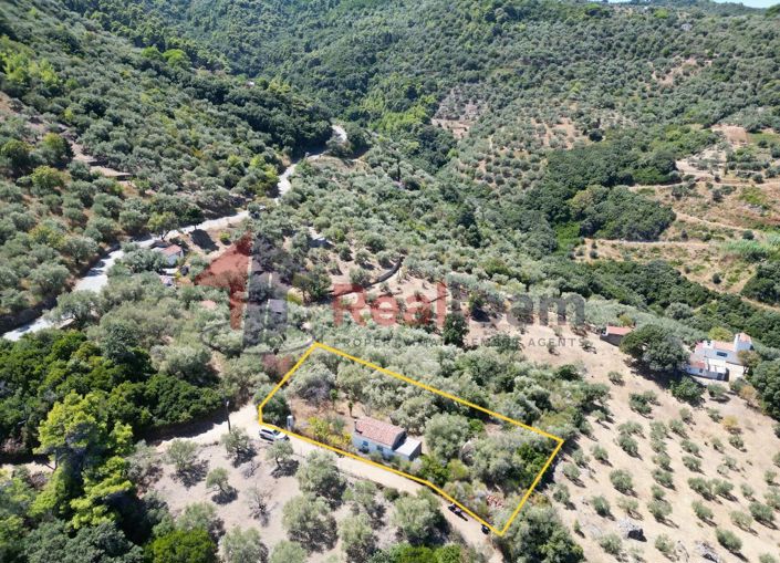 Image No.8-1 Bed Property for sale