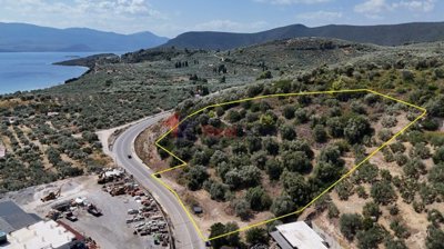 79993da74e524064989fe8040d4c9d0b