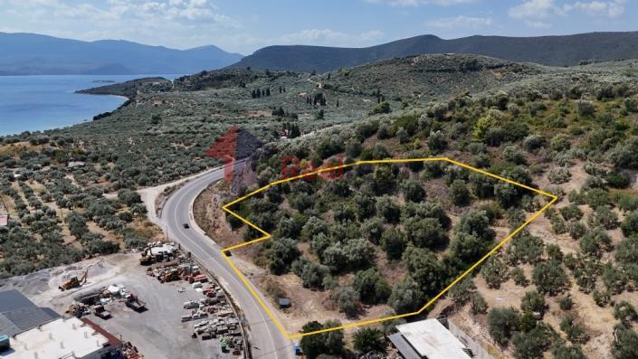 Image No.1-Plot for sale