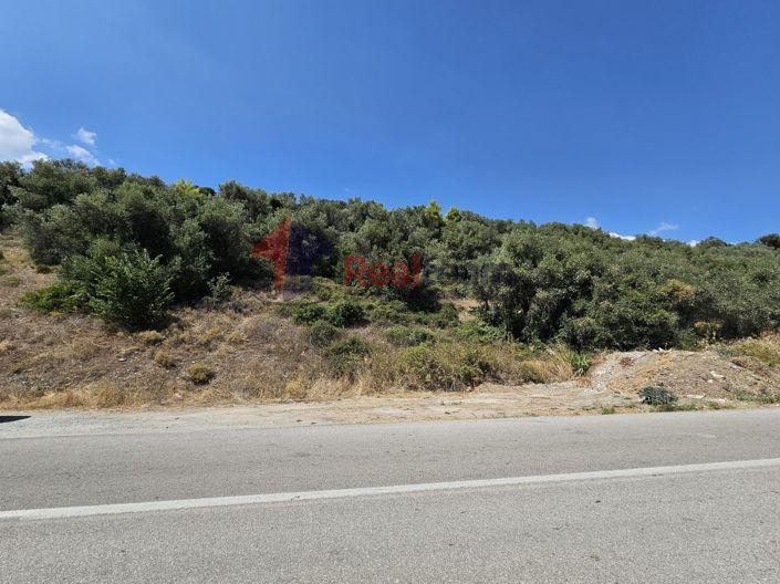 Image No.12-Property for sale