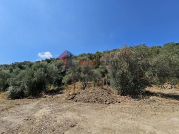 4583cc03451645d6bcb936d849fcb642