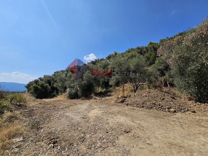 Image No.15-Property for sale