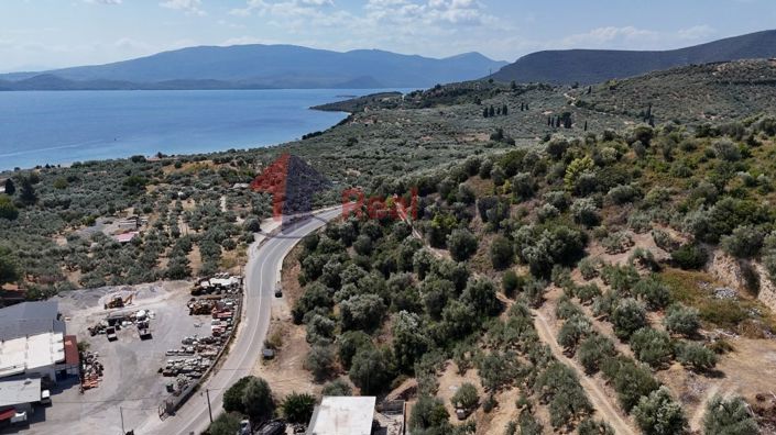 Image No.2-Property for sale