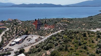 78653c599ccd4ce3bf845ca415837a41