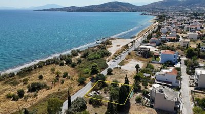 d5474b31227844b5b2307fa3b7e3f116