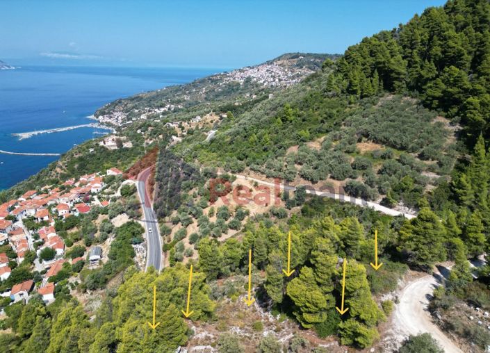 Image No.1-Property for sale