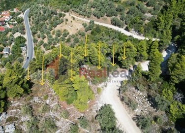 e6d0b33fb73c4377a49c89576e04fd5f