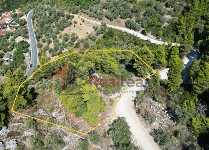 Image No.24-Property for sale