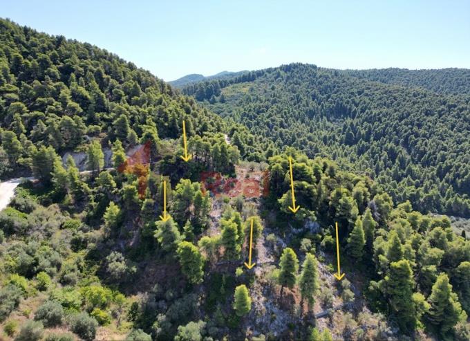 Image No.31-Property for sale