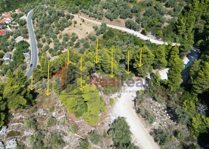 Image No.32-Property for sale