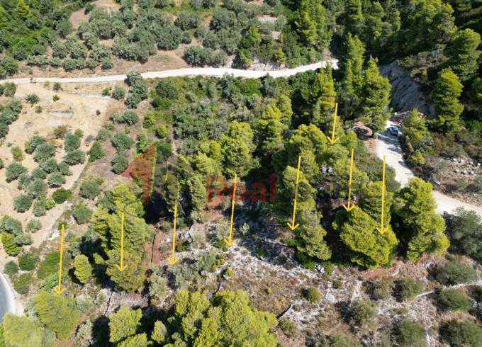 Image No.25-Property for sale