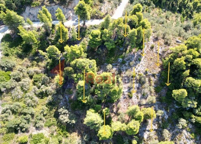 Image No.29-Property for sale