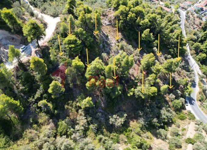 Image No.26-Property for sale