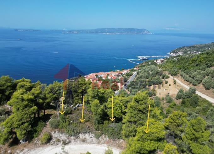 Image No.34-Property for sale