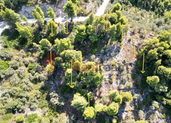 Image No.12-Property for sale