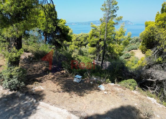 Image No.16-Property for sale