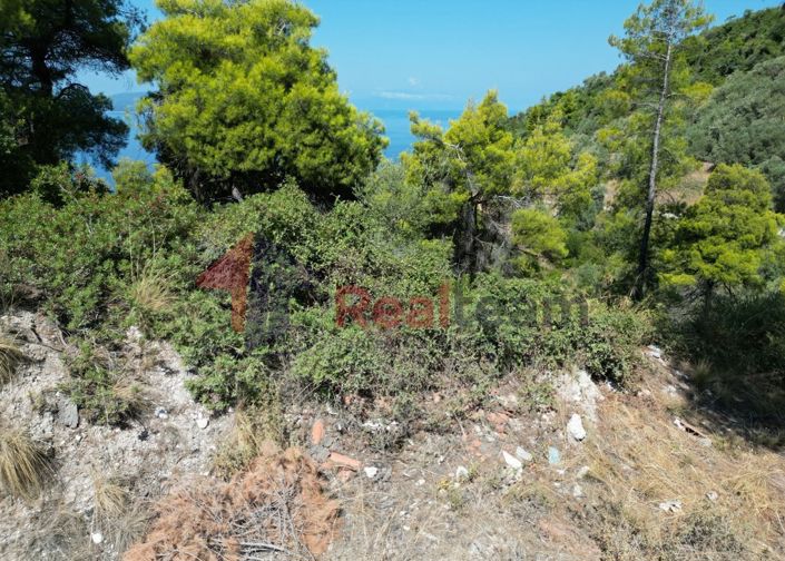 Image No.18-Property for sale