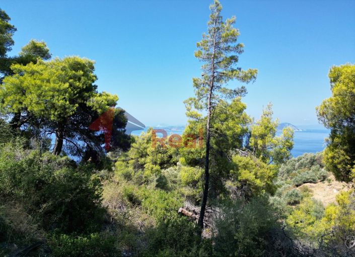 Image No.19-Property for sale