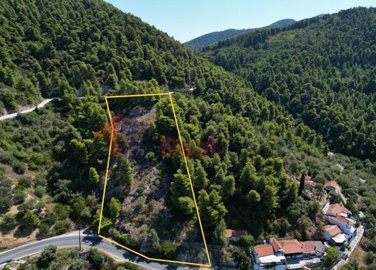 8bc879d3f05d4e6c9c0dfffd51708209