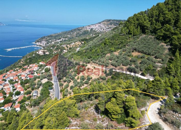 Image No.3-Property for sale